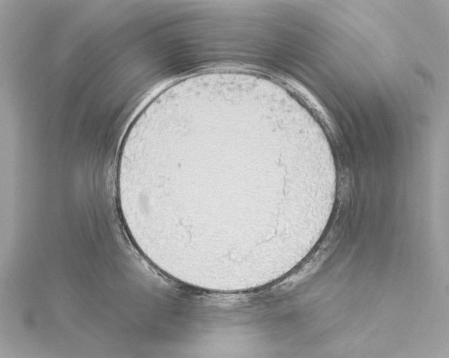 X0000114170860200911191245