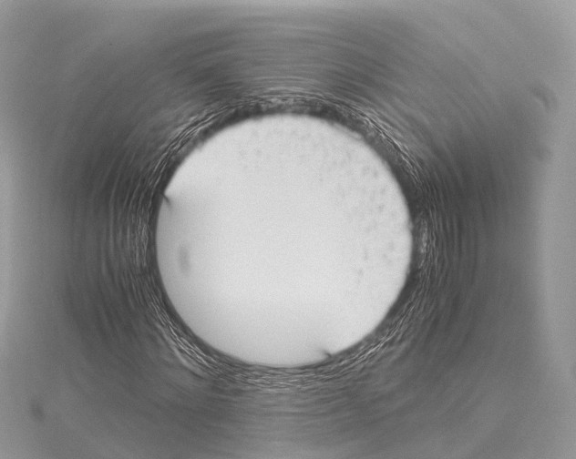 X0000114170868200911191245