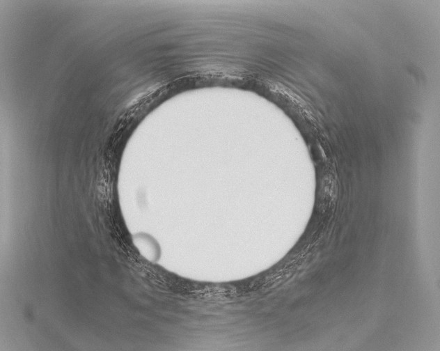 X0000114170869200911191245