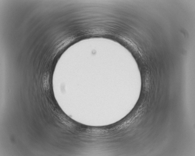 X0000114170873200911191245