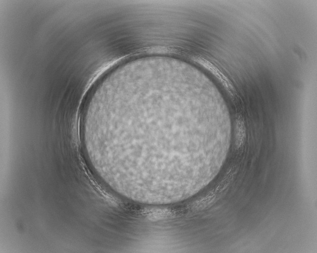 X0000114170886200911191244