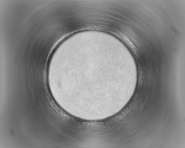 X0000114170896200911191244