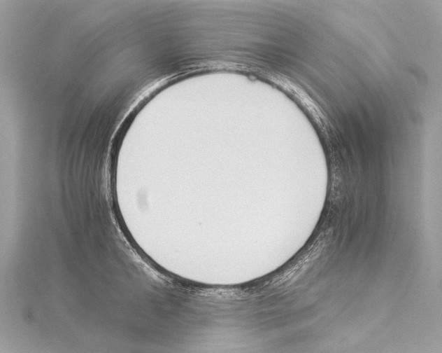 X0000114170902200911191244
