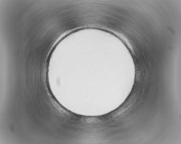X0000114170903200911191244