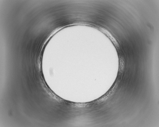 X0000114170908200911191244