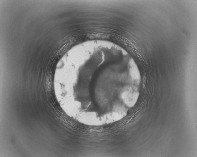 X0000114170915200911191243