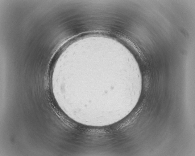 X0000114170927200911191244