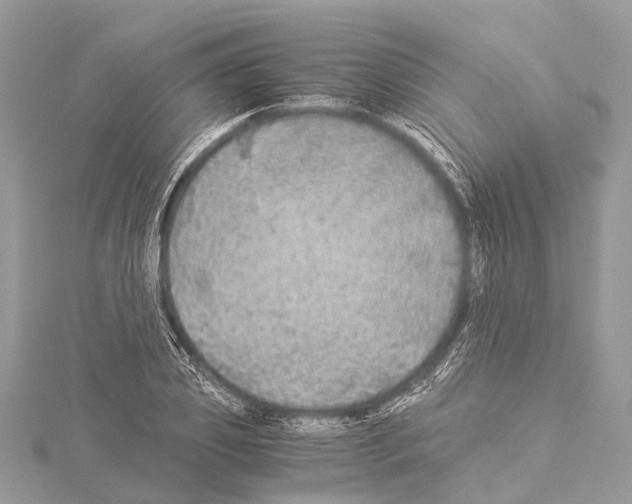 X0000114170933200911191244
