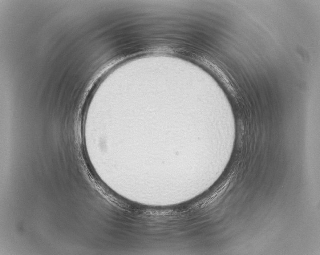 X0000114170939200911191244