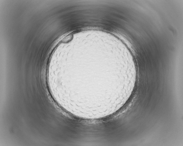 X0000114170949200911191244