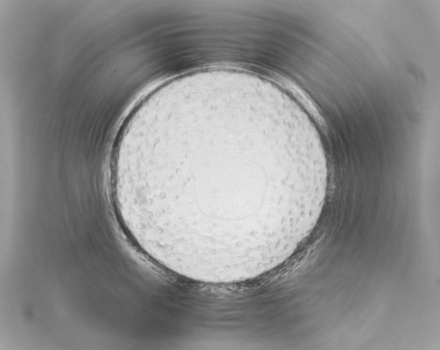 X0000114170955200911191244