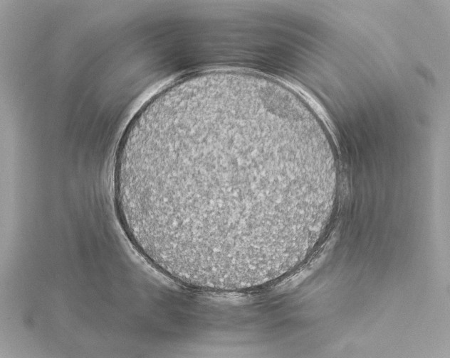 X0000114170957200911191244