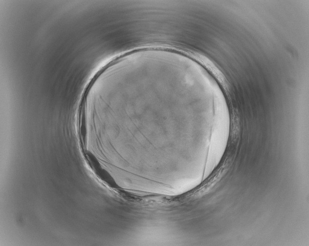 X0000114170958200911191244