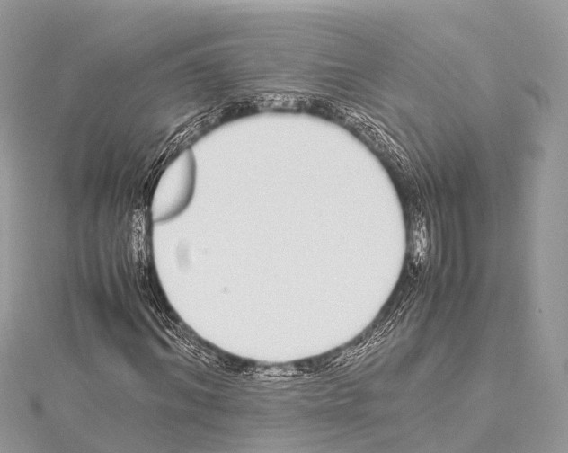 X0000114170964200911191243