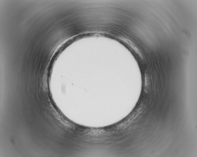X0000114170972200911191243