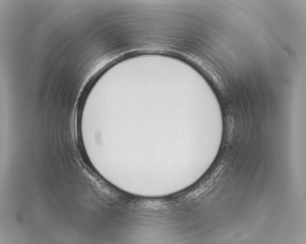 X0000114170982200911191243
