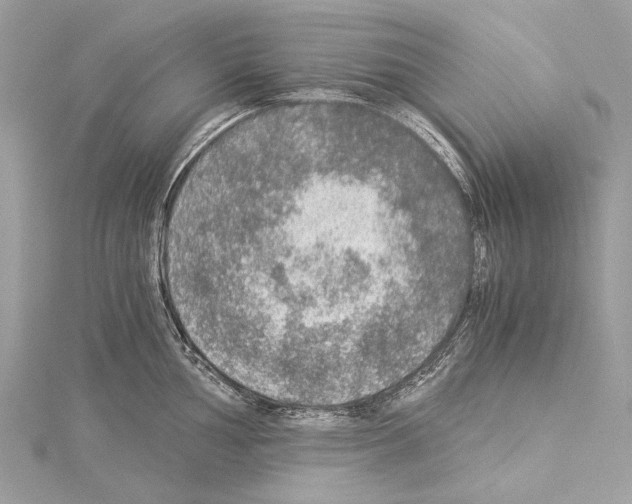 X0000114171002200911191243