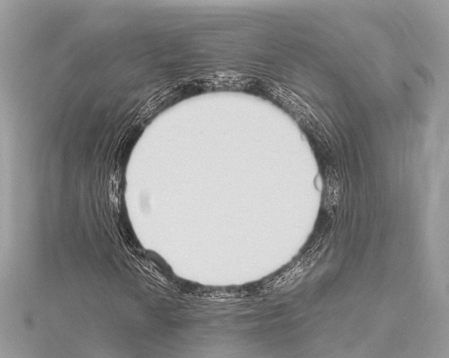 X0000114171010200911191242