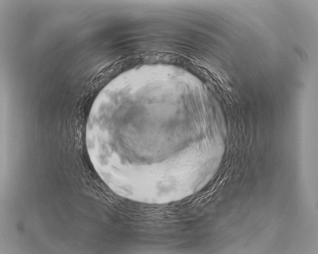 X0000114171013200911191242