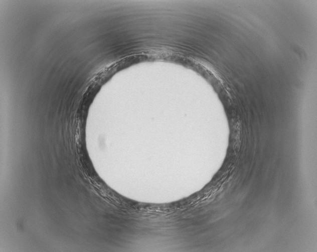 X0000114171016200911191242