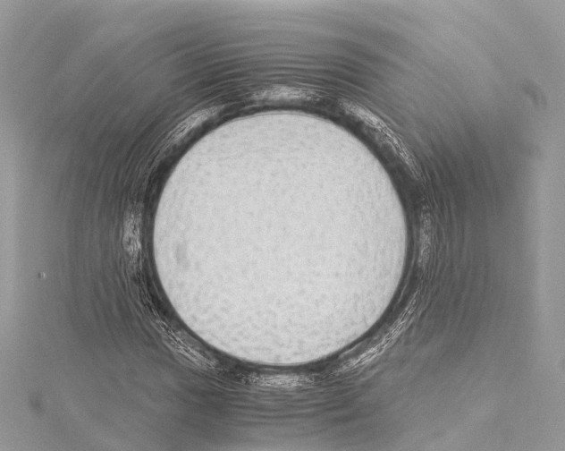 X0000114171017200911191242