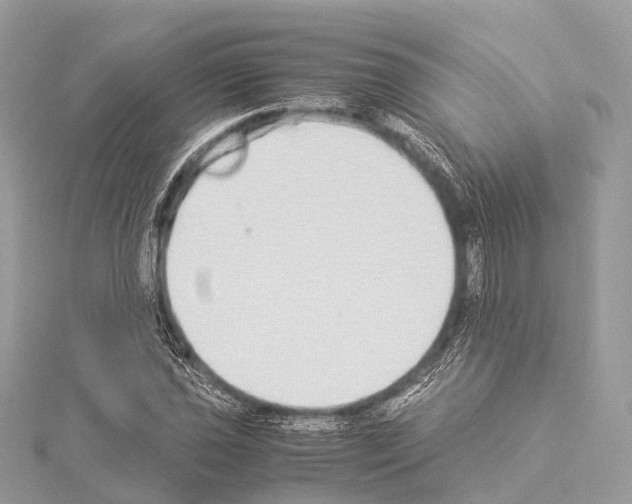 X0000114171021200911191242