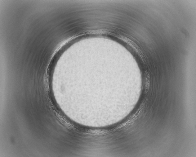 X0000114171022200911191242