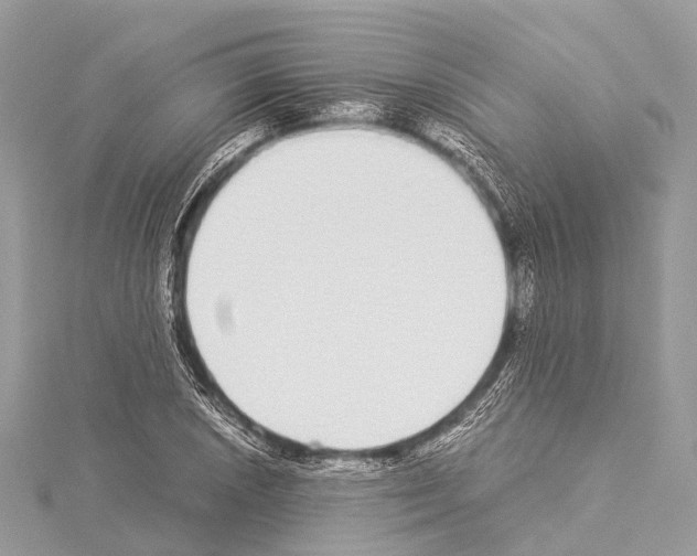 X0000114171026200911191242