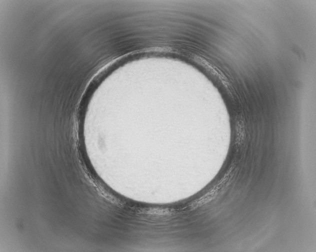 X0000114171029200911191242