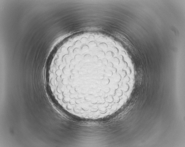 X0000114171030200911191242