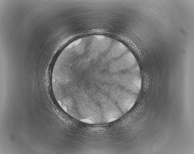 X0000114171031200911191242