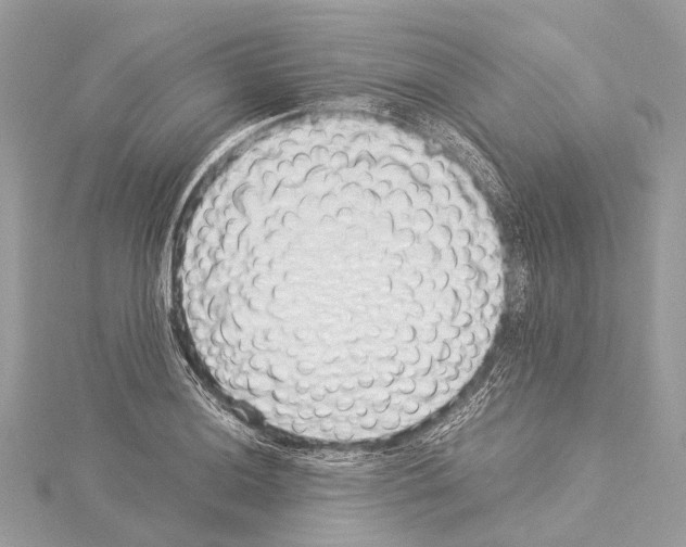 X0000114171036200911191242