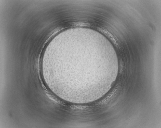 X0000114171039200911191242