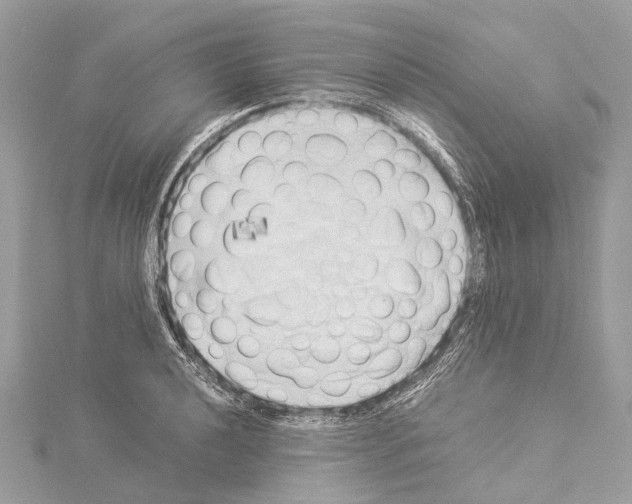 X0000114171040200911191242