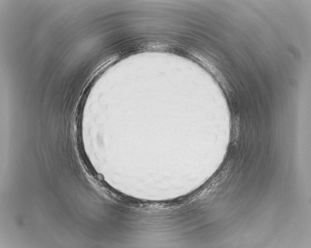 X0000114171042200911191242