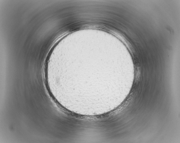 X0000114171050200911191242