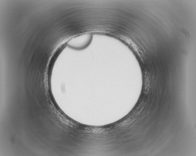X0000114171072200911191242