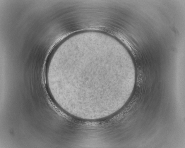 X0000114171080200911191242