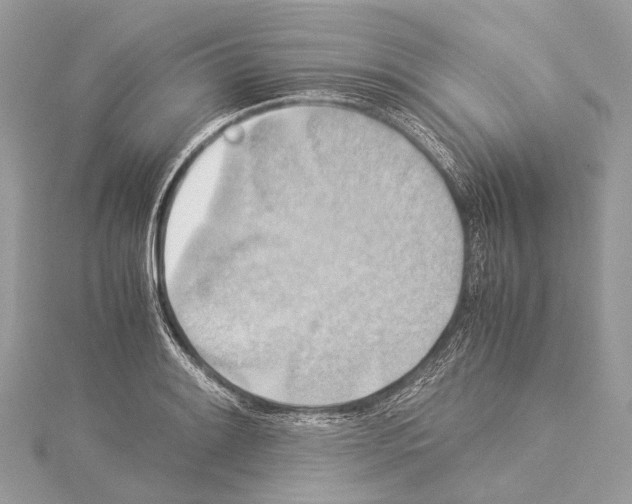 X0000114171084200911191241