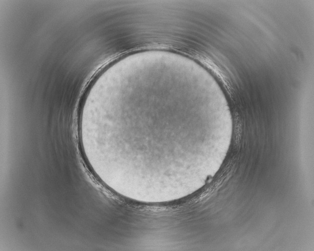 X0000114171088200911191241