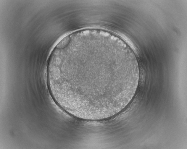 X0000114171100200911191241