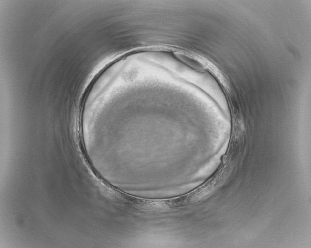 X0000114171101200911191241