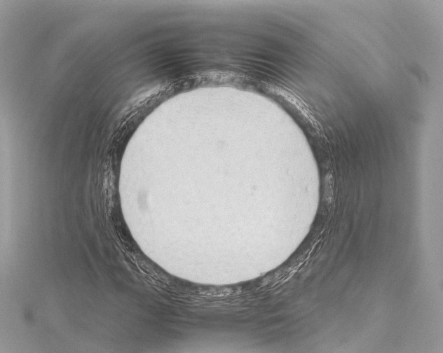X0000114171111200911191241