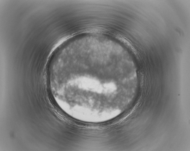 X0000114171114200911191241