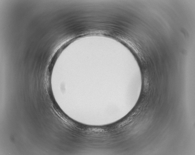 X0000114171119200911191241