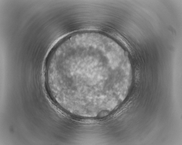 X0000114171124200911191241