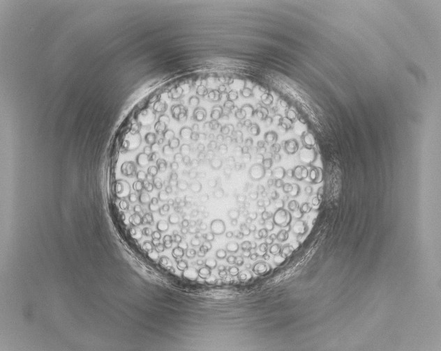 X0000114171130200911191241
