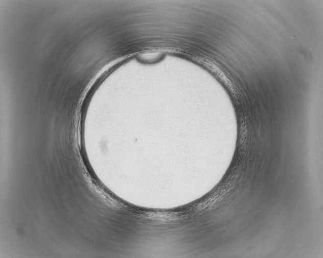 X0000114171132200911191241