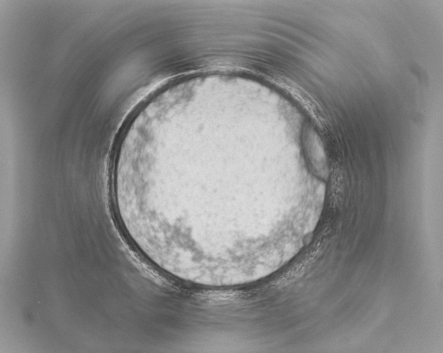 X0000114171134200911191241