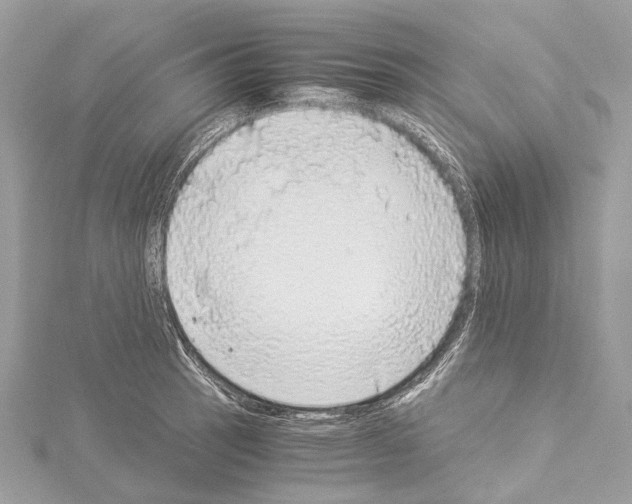 X0000114171137200911191241